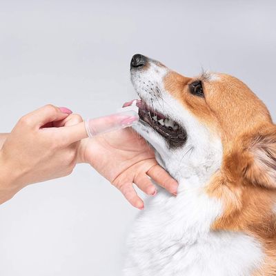 Kıl Silikon Köpek Temizleme Aracı Diş Temizleme Köpek Ağız Bakımı Parmak Pet Diş Fırçası