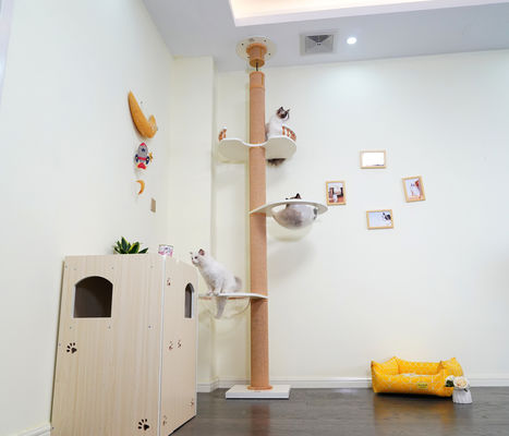 Büyük Ahşap Kedi Ağaç Tabanından Tavana Tırmanma Oyun Evi 82*40*87cm