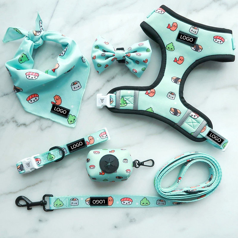 6 Parça Ayarlanabilir Köpek Koşum Yeleği Eşleşen Yaka Tasma Papyon Ve Bandana Takımı
