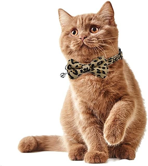 Kitty Küçük Köpekler İçin Sevimli Papyonlu Ayrılabilir Toka Kedi Yaka Çanları Ayarlanabilir