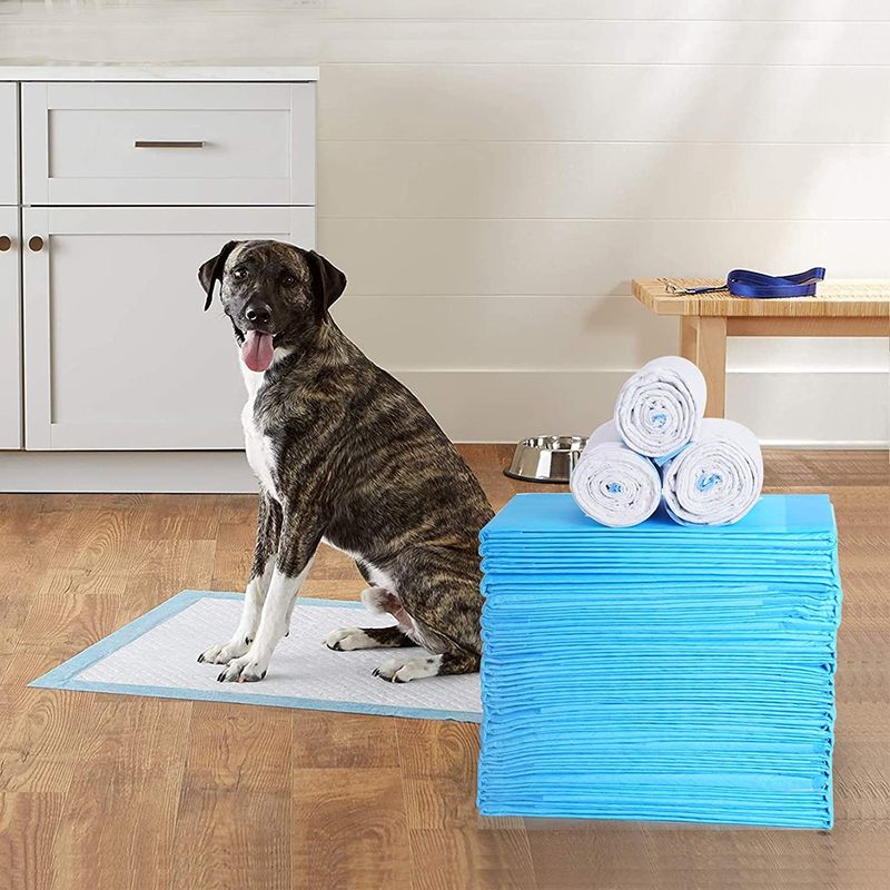 Pet Köpek Bezi Süper Emici Kedi Eğitim Idrar Çiş Pedleri Sağlıklı Temiz Islak Mat Tek Kullanımlık Köpek Bezi Eğitim Pedi