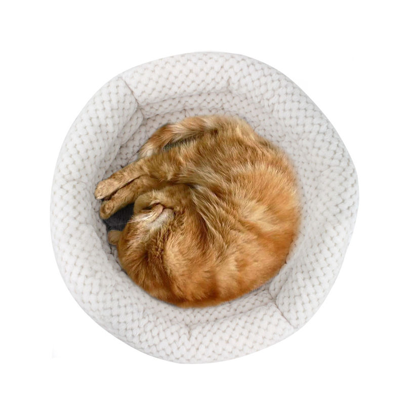 2021 Toptan Sarılın Kupa Şekli Kedi ve Köpek Yatağı Derin Uyku Yıkanabilir Pet House için Yüksek Duvarlı Evcil Hayvan Yatağı