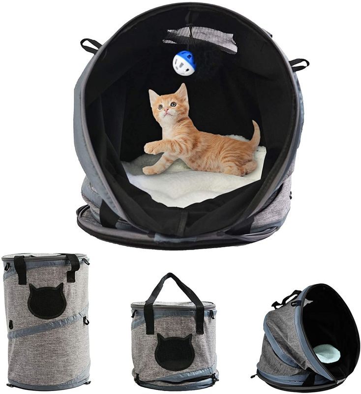 Polar Mat ile 3'ü 1 Arada Kedi Çanta Taşıyıcı Sırt Çantası