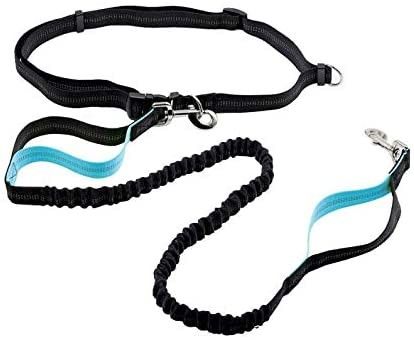 Geri Çekilebilir Halat Yansıtıcı Köpek Koşum Bel Kemeri Çift Saplı Elastik Bungees Eller Serbest Köpek Tasması