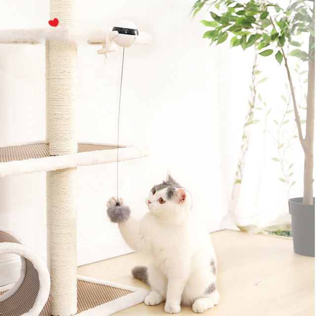 İnteraktif Elektronik Otomatik Kaldırma Topu Kedi Pet Oyuncaklar Komik Çubuk Kedi Teaser Oyuncak