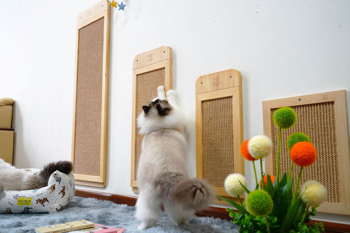 Dayanıklı Sisal Duvar Tipi Kedi Scratcher Direği Zemin 40*30cm 30*76cm 40*120cm