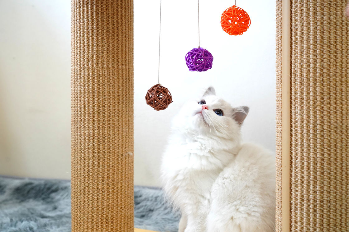 Çift Katlı Katı Kedi Tırmığı Tahtası Ağacı 60*30*63cm