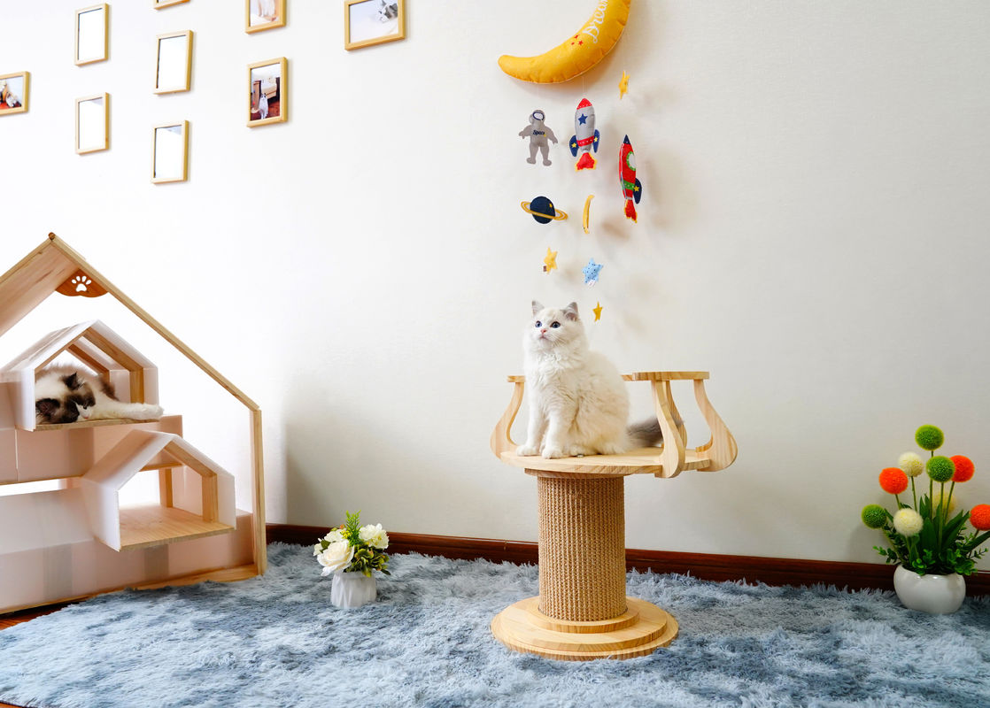 Çevre Dostu Ahşap Tırmanma Kedi Tırmanma Ağacı Kule Kedi Fotoğraf Masası L Boyut 72cm M 62cm