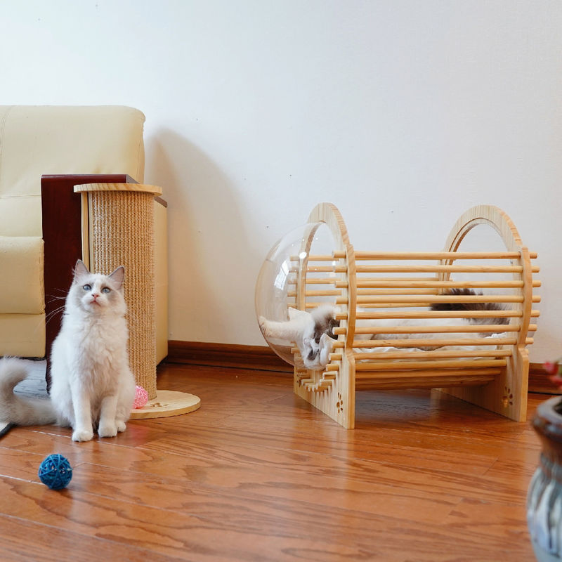 Kapsül Ahşap Kedi Yataklı Pencereli Ev