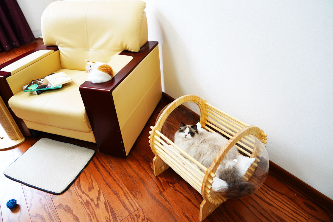 Kapsül Ahşap Kedi Yataklı Pencereli Ev