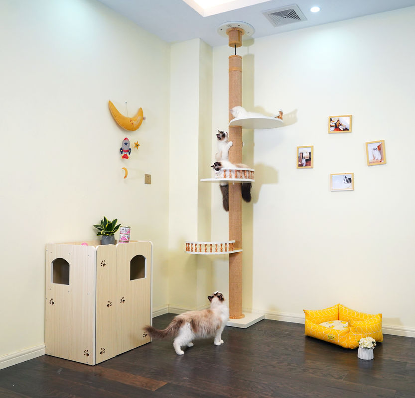 Büyük Ahşap Kedi Ağaç Tabanından Tavana Tırmanma Oyun Evi 82*40*87cm