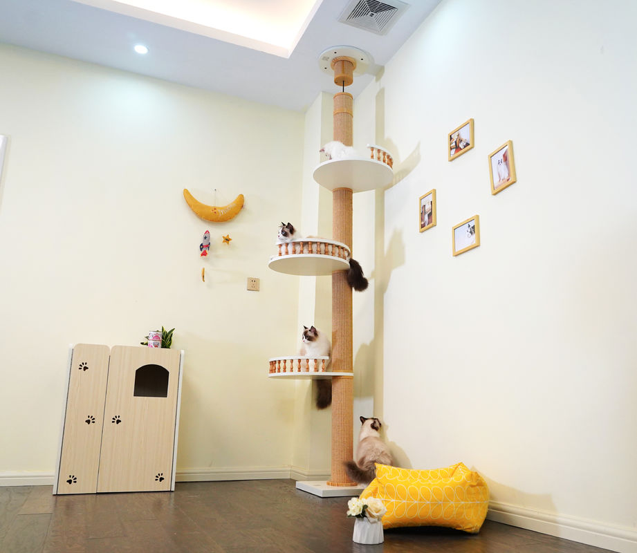 Büyük Ahşap Kedi Ağaç Tabanından Tavana Tırmanma Oyun Evi 82*40*87cm