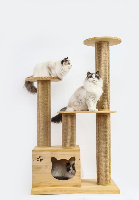 OEM ve ODM Lüks Ahşap Kedi Tırmanma Ağacı Mobilya Güvenlik Merdivenleri Pet Rise Bed