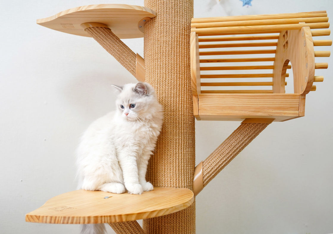 Tırmanma Direkleri ile 123cm Büyük Masif Ahşap Kedi Tırmanma Ağacı Kedi Etkinlik Kulesi