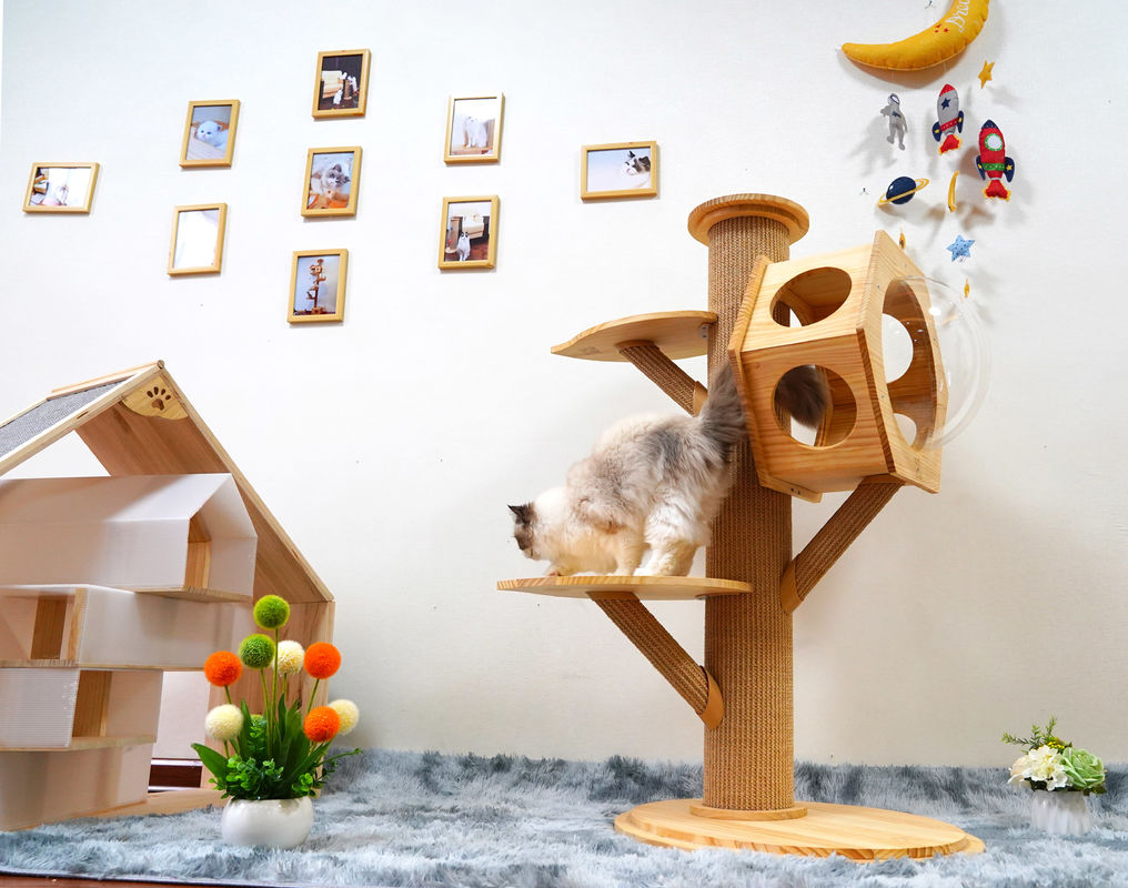 Uzay Kapsülü ile Lüks Altıgen Ahşap Pet Yatak Mağara Kedi Tırmanma Kulesi
