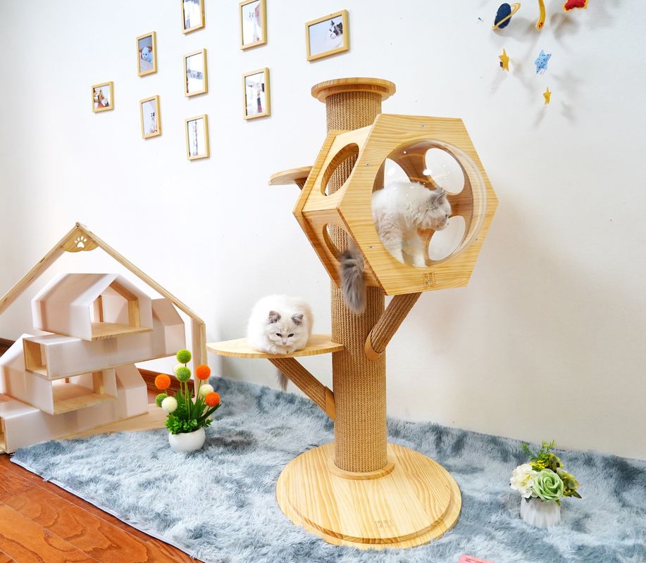 Uzay Kapsülü ile Lüks Altıgen Ahşap Pet Yatak Mağara Kedi Tırmanma Kulesi