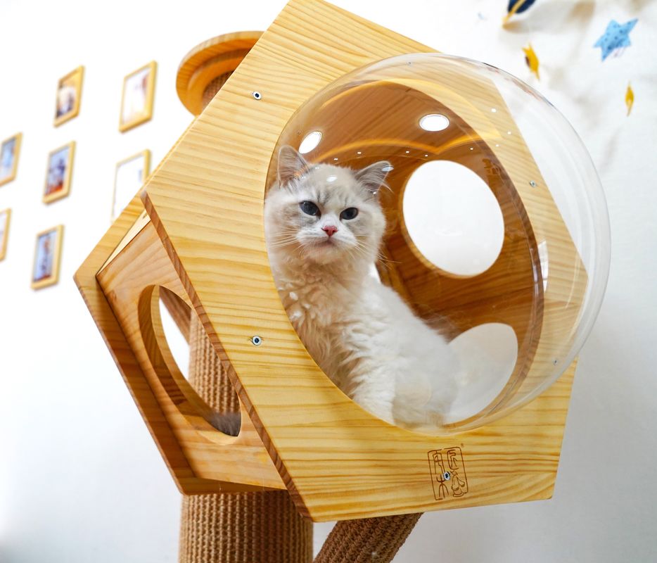 Uzay Kapsülü ile Lüks Altıgen Ahşap Pet Yatak Mağara Kedi Tırmanma Kulesi