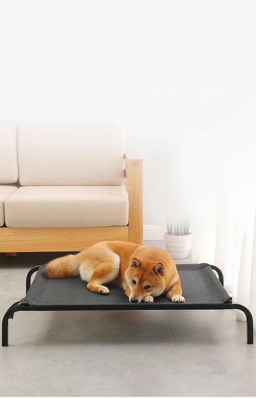 Büyük Boy Çelik Boru Katlanır Rahat Pet Yatak Karyolası Kalınlaşmış Peluş Yastıklar ile Yükseltilmiş köpek yatağı