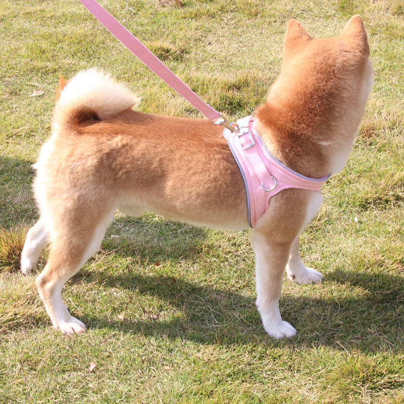 Yeni Süet Yansıtıcı Kırmızı Köpek Tasması Yelek Patlamaya Dayanıklı