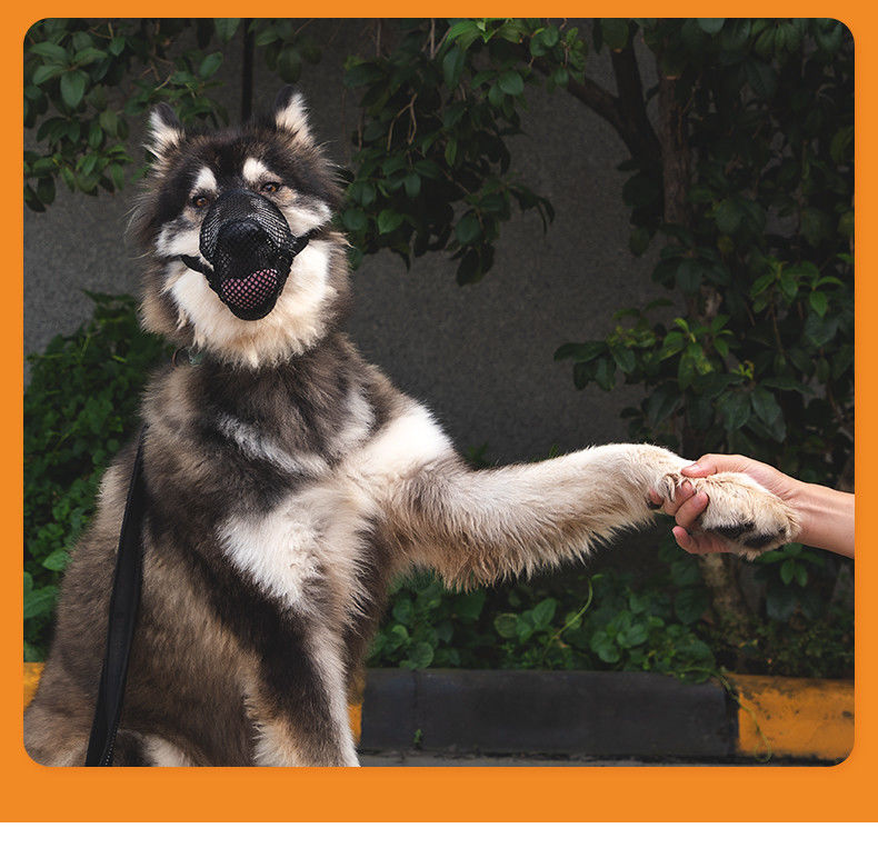 Yanlış besleme Dayanıklı Ayarlanabilir Yüksek kaliteli Nefes Alabilir Köpek Ağızlıkları Rahat Köpek Ağız Kapağı