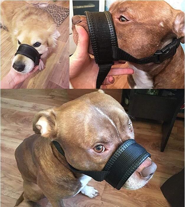 Naylon Köpek Namlu Yaka Tasma Koşum Seti Yumuşak Yastıklı Köpek Ağız Kapağı Anti Bite
