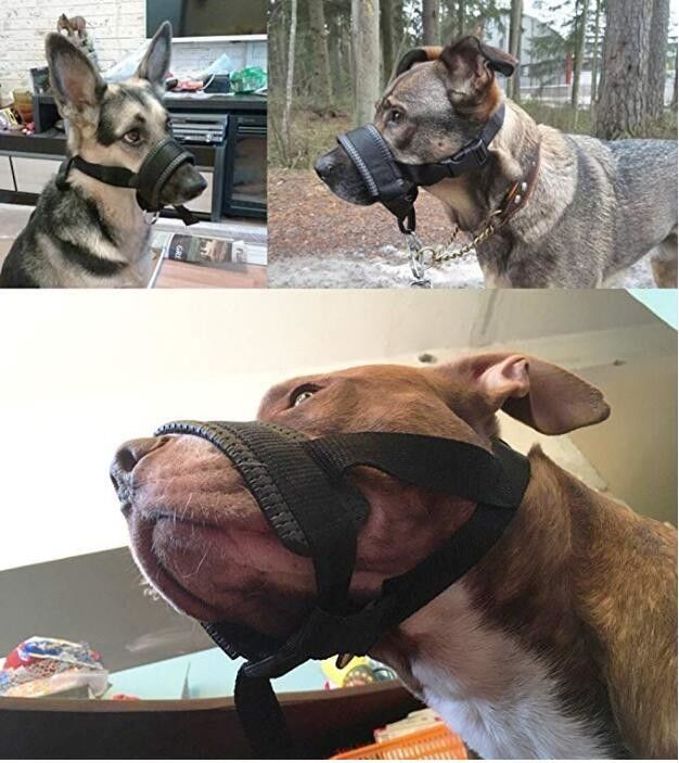 Naylon Köpek Namlu Yaka Tasma Koşum Seti Yumuşak Yastıklı Köpek Ağız Kapağı Anti Bite