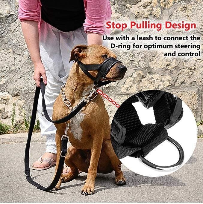 Naylon Köpek Namlu Yaka Tasma Koşum Seti Yumuşak Yastıklı Köpek Ağız Kapağı Anti Bite