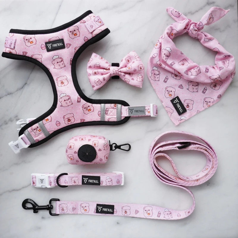 Soft File Naylon Desen Köpek Tasması ve Tasma Takımı