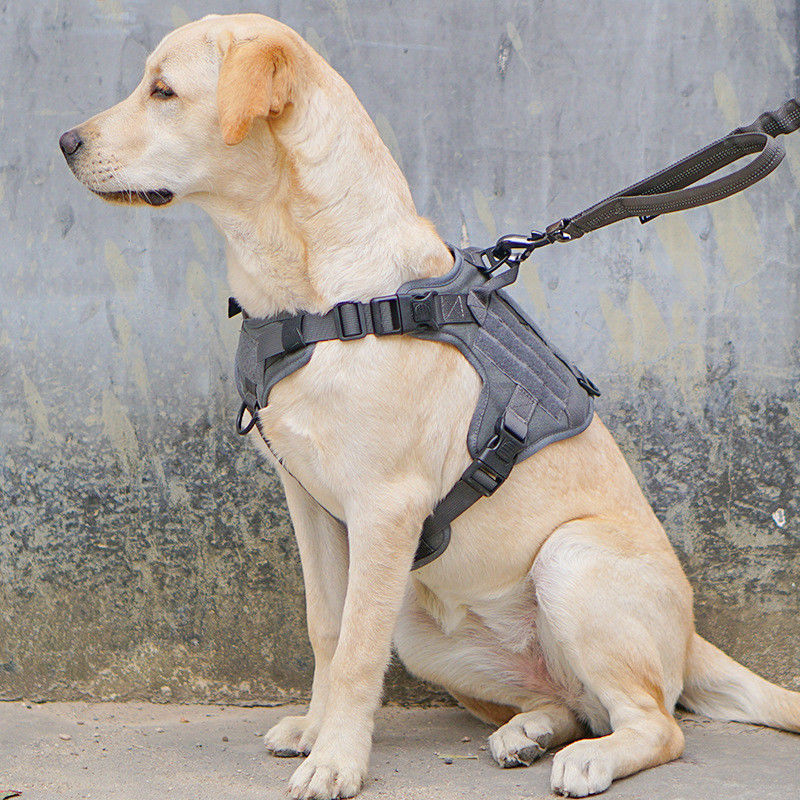 Taktik Askeri Yelek Taktik Tokalı Köpek Koşum Takımı ODM Servis ve Eğitim için Molle Güvenliği Askeri Köpek Yeleği