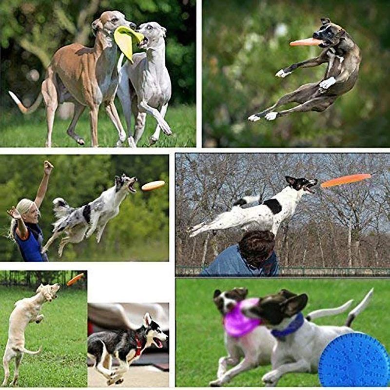 Silika Jel Açık Köpek Uçan Disk Köpek Getirme Eğitim Oyuncak