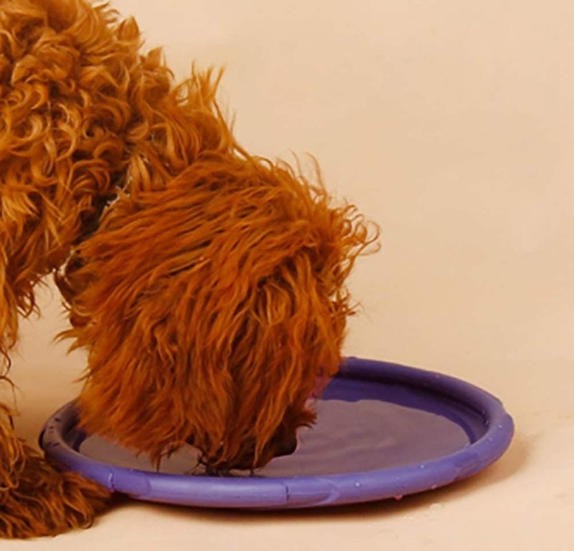 Silika Jel Açık Köpek Uçan Disk Köpek Getirme Eğitim Oyuncak