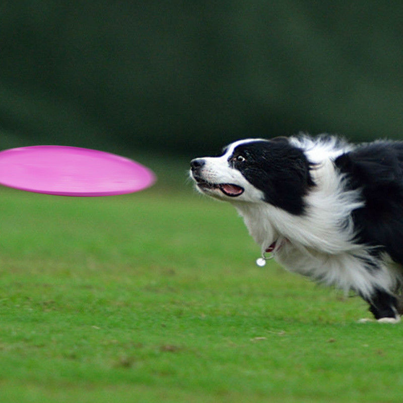 Silika Jel Açık Köpek Uçan Disk Köpek Getirme Eğitim Oyuncak
