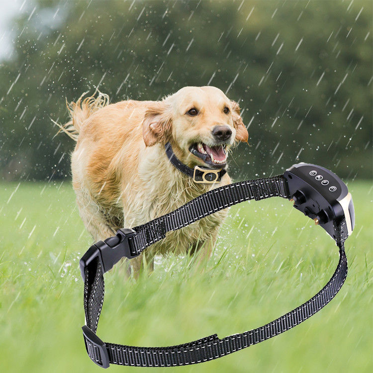 Yenilikçi Kontrol Evcil Hayvan Eğitim Ürünleri Bark Yok Köpek Eğitimi Şok Tasması