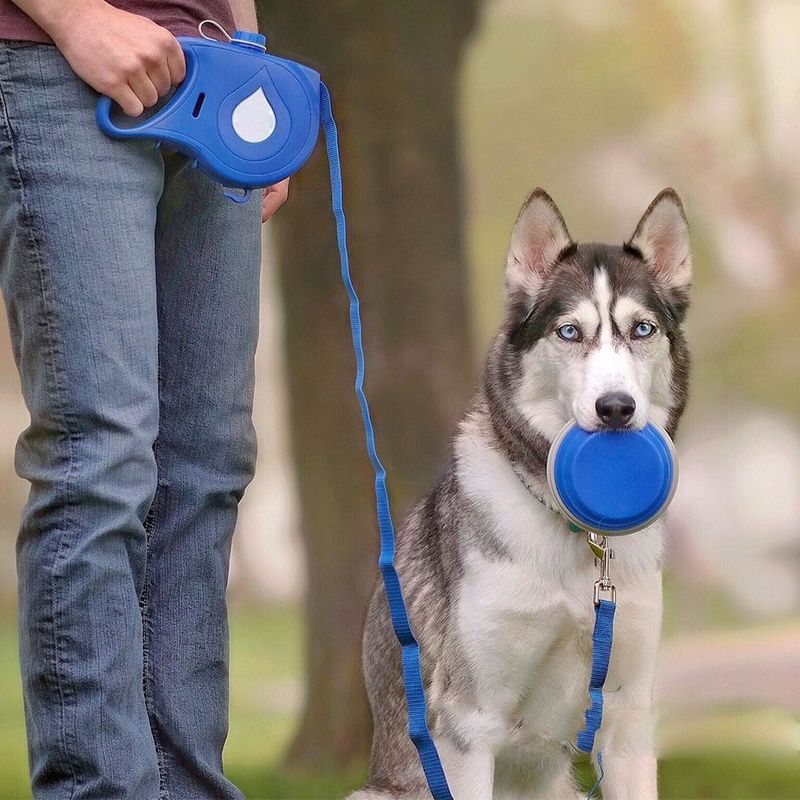 5 IN 1 Naylon Köpek Tasma Katlanabilir Kase ile Taşınabilir Köpek Su Şişesi Köpek Poop Çanta Dispenseri