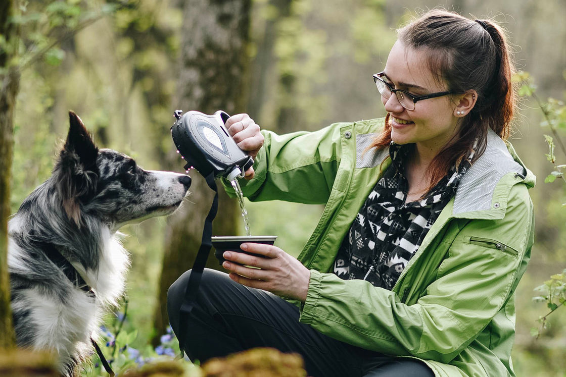 SEDEX Köpekler Seyahat Su Şişesi Kase Tasarımcıları Hepsi Bir Arada Köpek Tasması