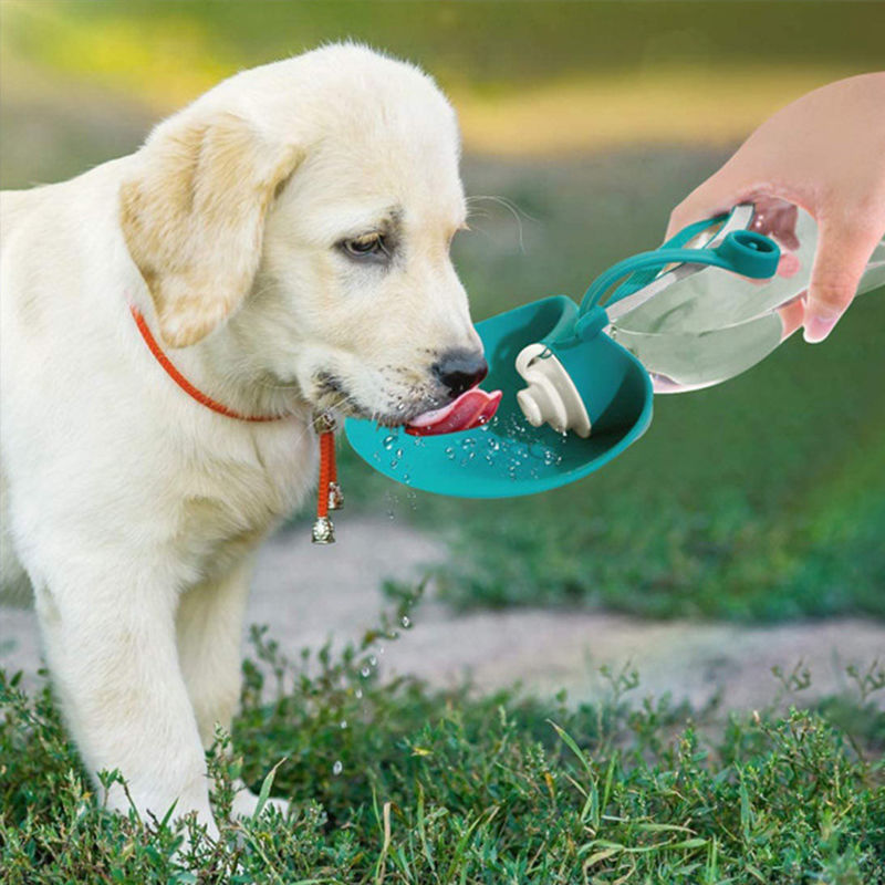 Silikon Açık Taşınabilir Pet Su Şişesi Sızdırmaz Tasarım 580ML
