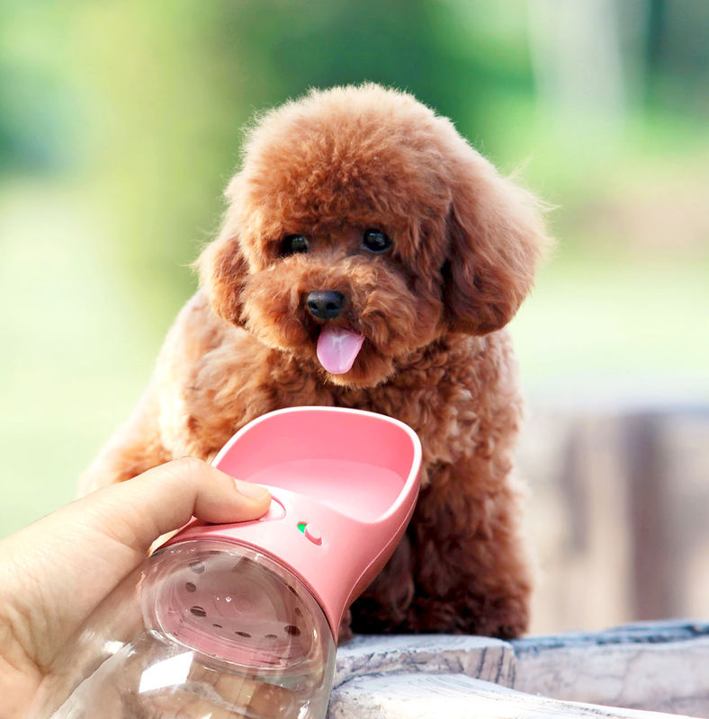 12-20OZ İçecek Bardağı taşınabilir Katlanabilir Köpek Su Şişesi Yürüyüş İçin
