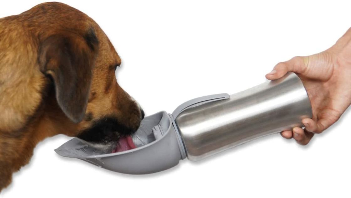 Paslanmaz Seyahat Evcil Köpek Silikon Flip Up Bowl ile Sıcak Su Şişesi 42oz / 1200mL