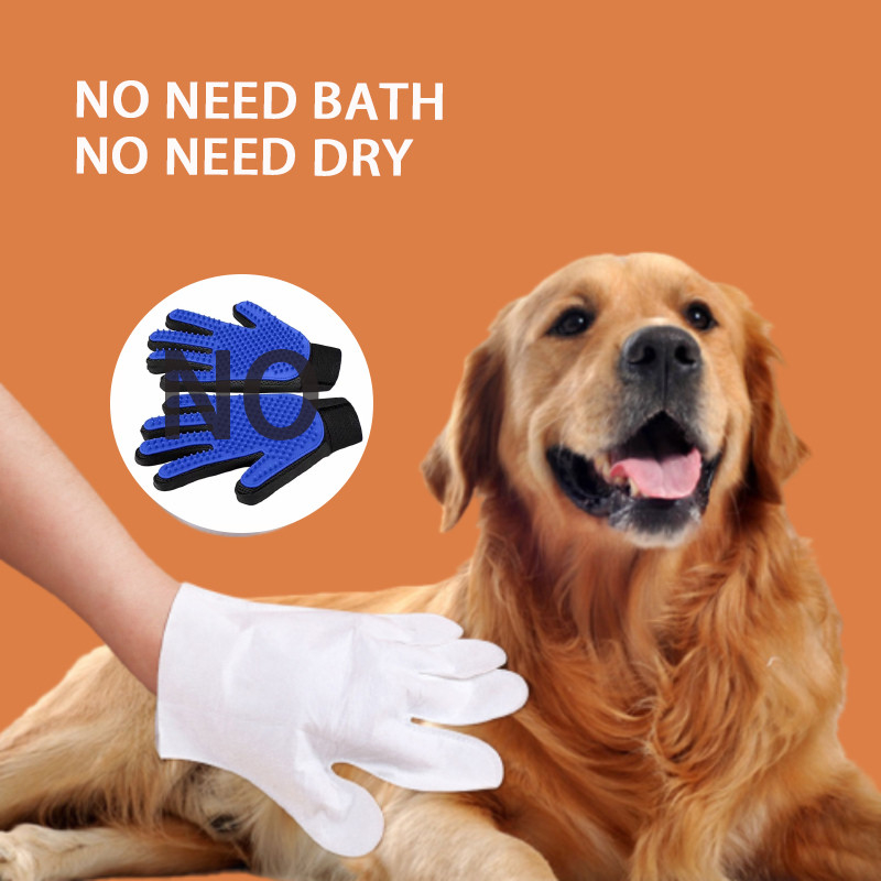 Dış Mekan Temizleme Bakterileri Kir Kuru Dokunma Evcil Hayvan Eldivenleri Tek Kullanımlık Köpek Kedi Yıkama Yok