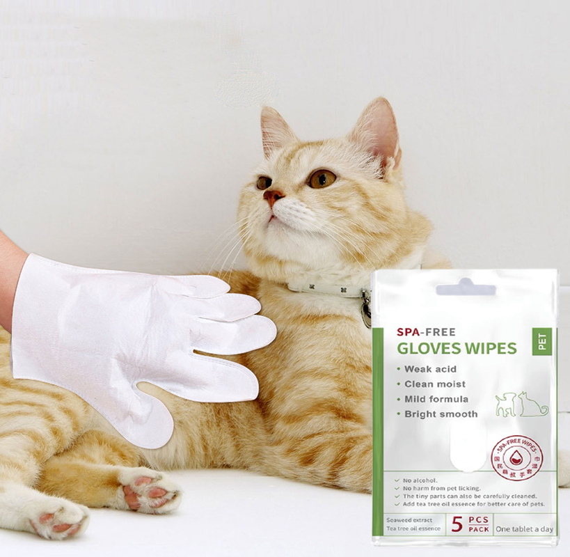5 ADET Tek Kullanımlık Durulamasız Pet Temizlik Eldivenleri Yüz Vücut Kulak Paws ve Popo için