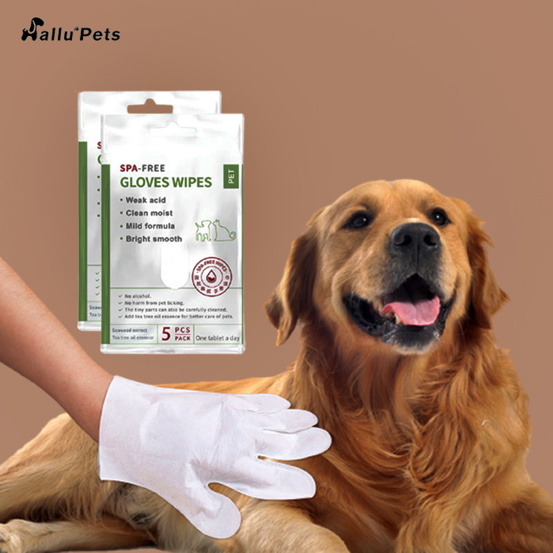 5 ADET Tek Kullanımlık Durulamasız Pet Temizlik Eldivenleri Yüz Vücut Kulak Paws ve Popo için