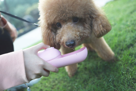 Pembe Katlanabilir Köpek Su Şişesi Dispenseri Küçük Köpek Mini Taşınabilir pet Su Isıtıcısı